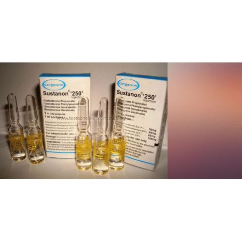 Anabolic Steroid Sustanon 250