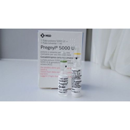 hCG (Human Chorionic Gonadrotropin)