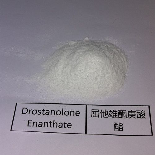 Masteron E Drostanolone