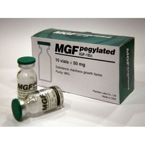 Mechano Growth Factor (MGF)