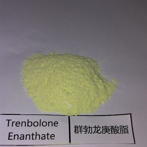 Raw Trenbolone Enanthate Powder