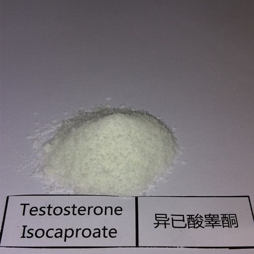 Testosterone Isocaproate POWDER