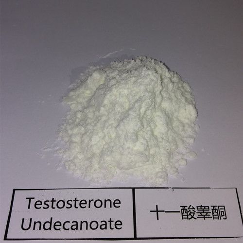 Test U Testosterone Undecanoate Powder