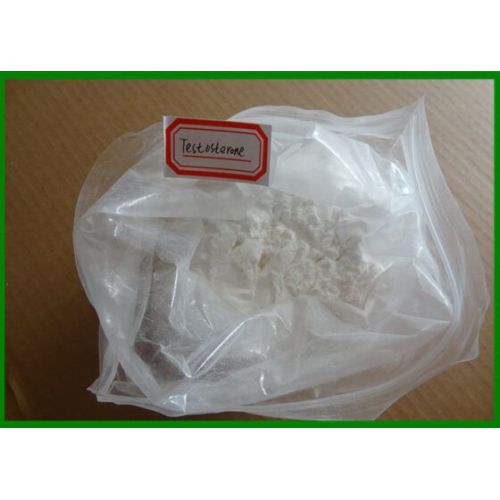 Testosterone Base Powder