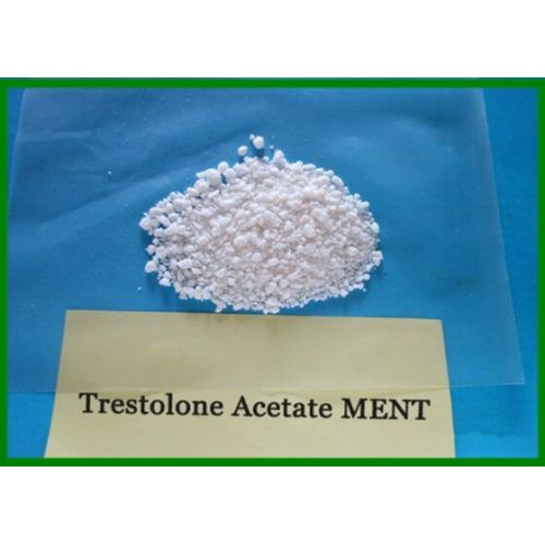Trestolone Powder