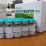 Hygetropin 8IU Injection