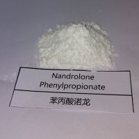 Buy Durabolin &AMP;AMP;ndash; Nandrolone