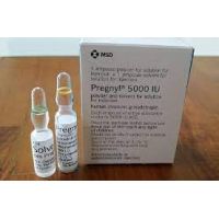 Buy HCG Pregnyl 5000IU