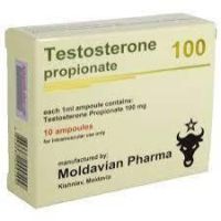 Buy Moldovita Pharma Testosteron Propionat 100mg 10 Amps