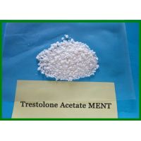 Buy Trestolone (Ment) Powder