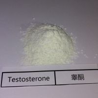 Buy TTE &AMP;AMP;AMP;ndash; Suspention &AMP;AMP;AMP;ndash; Testosterone